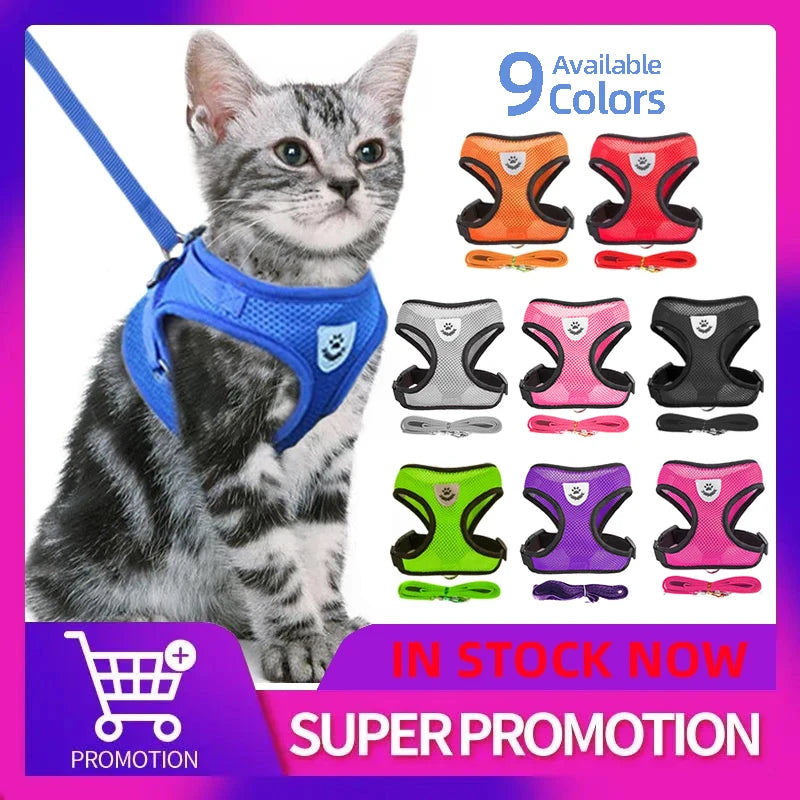 Conjunto de coleira ajustável para cães e gatos de pequeno porte